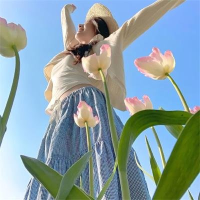 铃木家的谎言封面