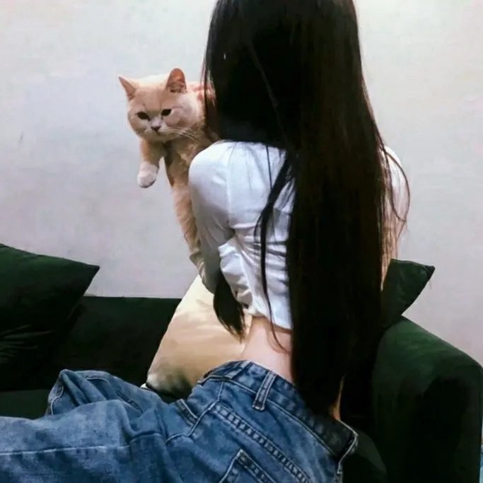 猫和老鼠：间谍使命封面